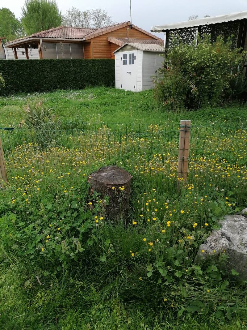 Aubenas (07200)