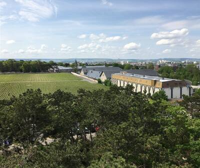 Vente appartement 4 pièces Reims (51100)