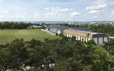 Reims (51100)