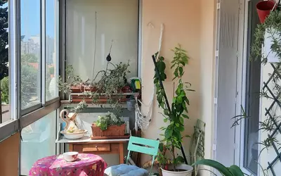 Montpellier (34000)
