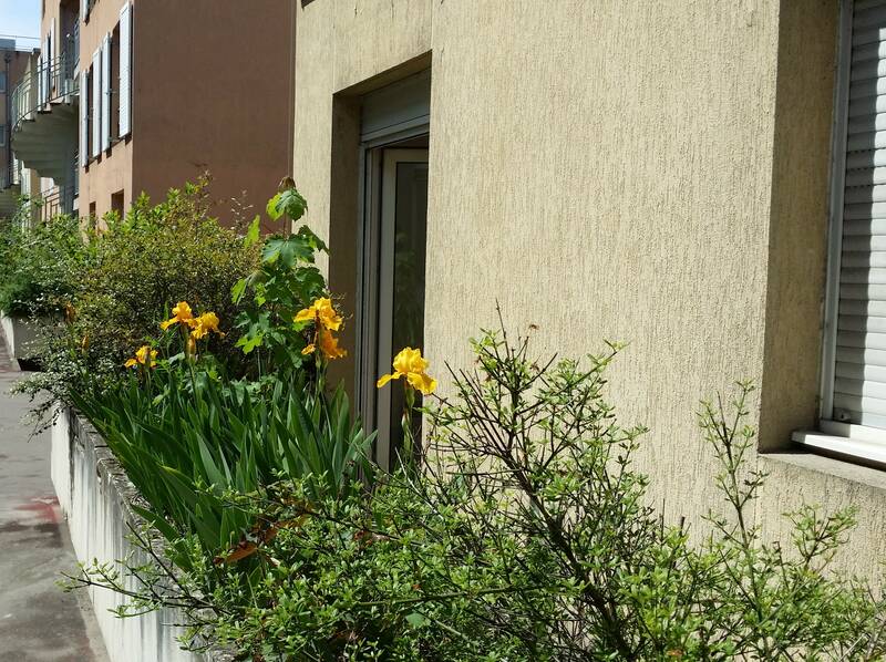 Bourgoin-Jallieu (38300)