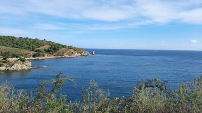 Vente appartement studio Banyuls-sur-Mer (66650)