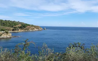 Banyuls-Sur-Mer (66650)