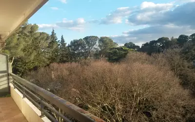 Nîmes (30000)