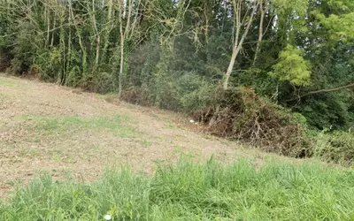 Guérard (77580)