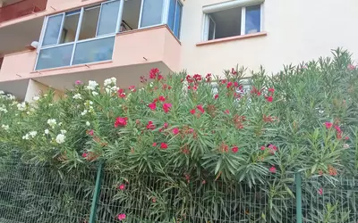 Montpellier (34000)