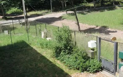 Maisons-Laffitte (78600)