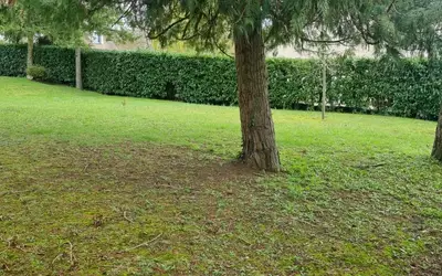 Livry-Sur-Seine (77000)