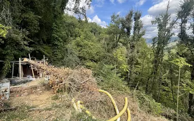 Bendejun (06390)