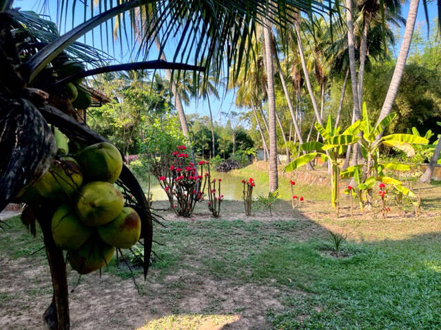 Thaïlande