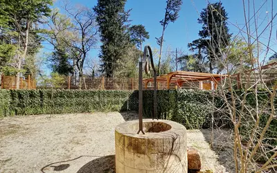 Avignon (84000)