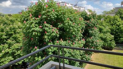 Location appartement 3 pièces Gagny (93220)