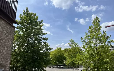 Lille (59000)