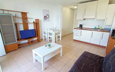 Villeneuve-Loubet (06270)