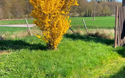 Montacher-Villegardin (89150)