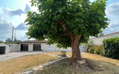 Pineuilh (33220)