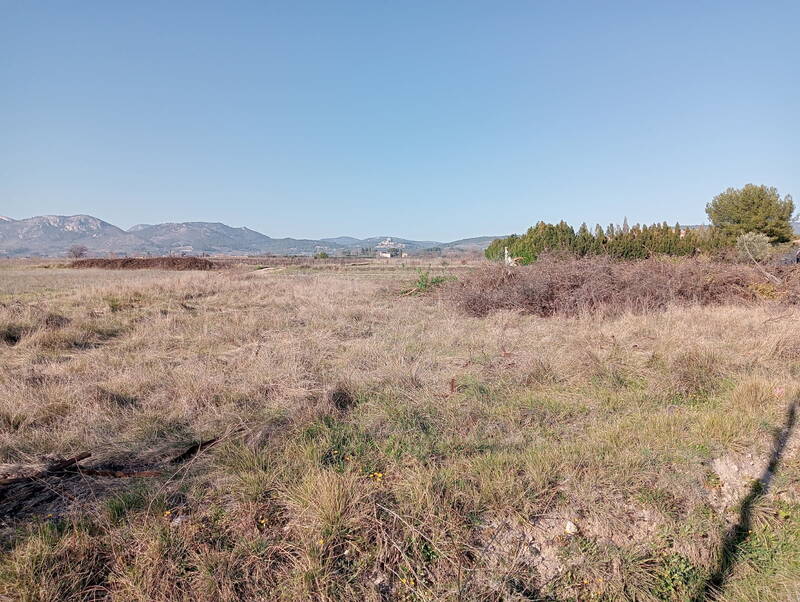 Caromb