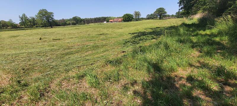 Lamotte-Beuvron (41600)