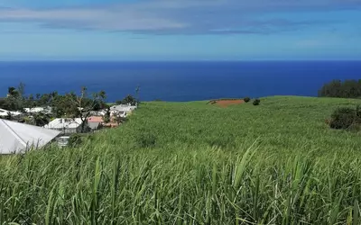Petite-Île (97429)