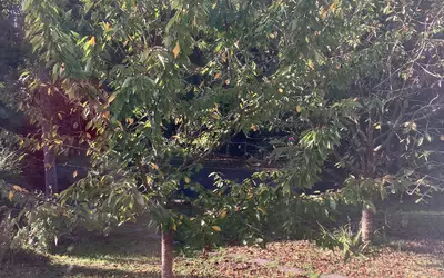 Gif-Sur-Yvette (91190)