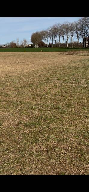 , 3 Parcelles À Partir De  800M²,  Pampelonne (81190)