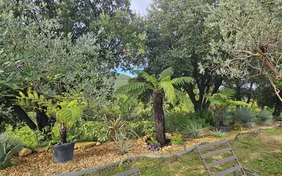 Vaison-La-Romaine (84110)
