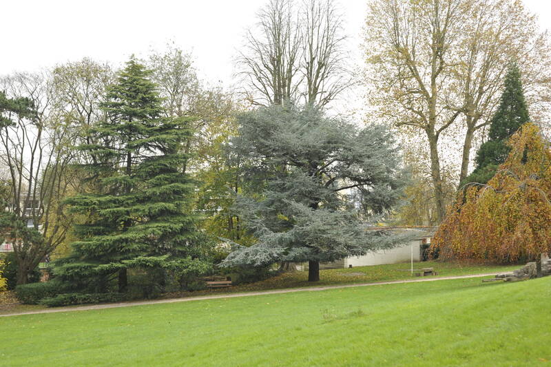 Sèvres (92310)