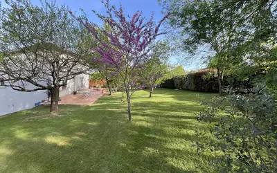 Montrabé (31850)