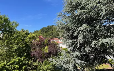 Le Plessis-Robinson (92350)