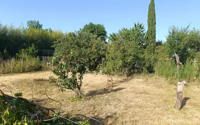 Saint-Didier-Sur-Chalaronne (01140)