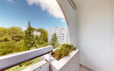 Montpellier (34000)