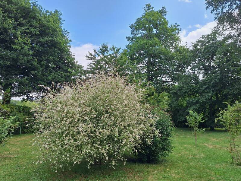 Saint-Prest (28300)