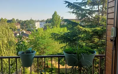 Soisy-Sous-Montmorency (95230)