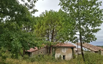 Montchaude