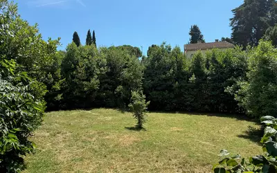 Cannes (06150)