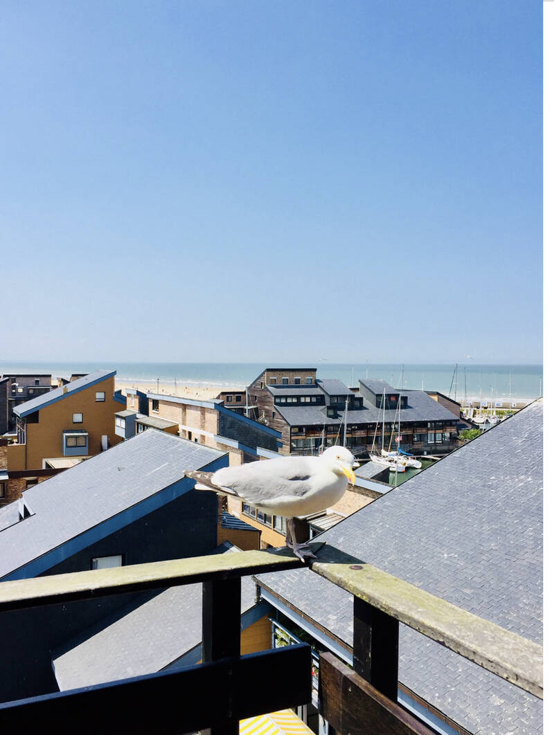 Deauville (14800)