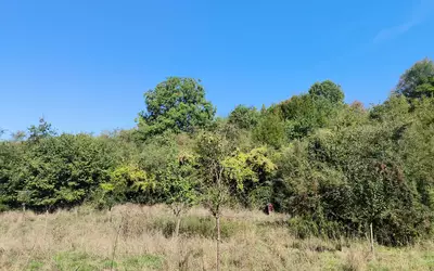 Ville-Sur-Cousances (55120)