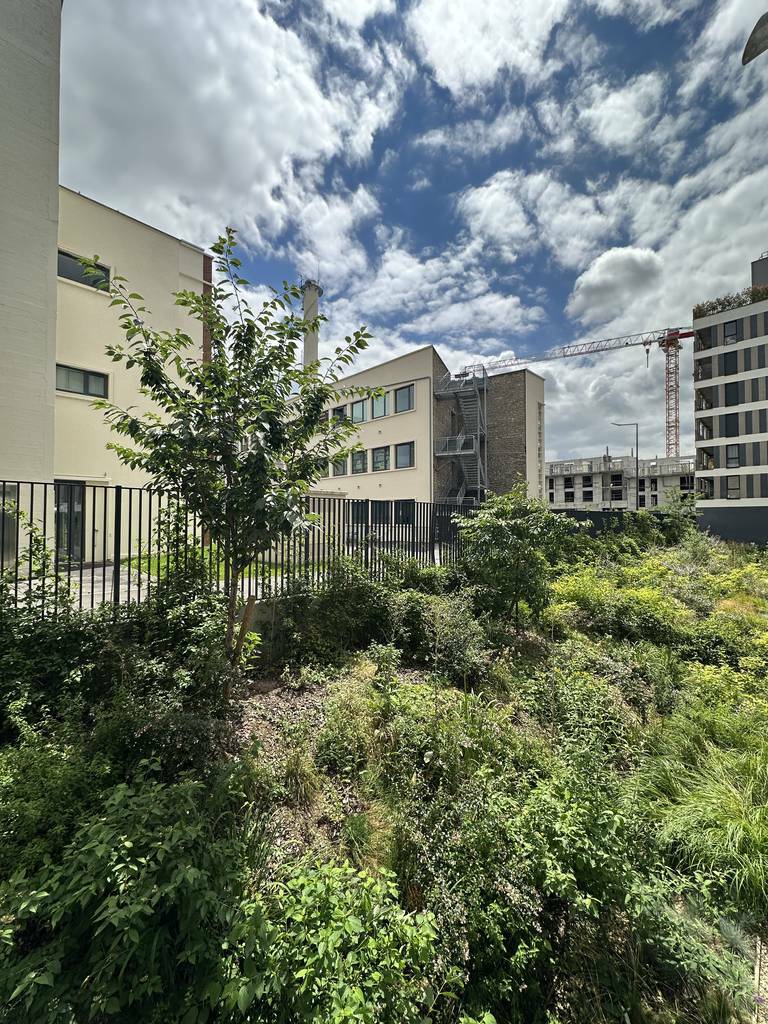 Romainville (93230)