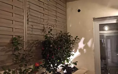 Nemours Dont Studio Au Fond Du Jardin