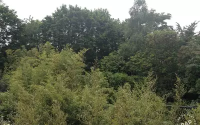 Rueil-Malmaison (92500)