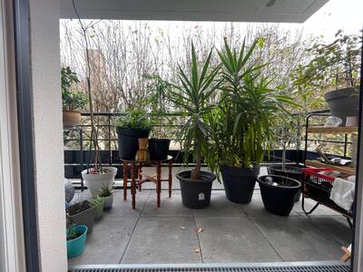 Vente appartement 2 pièces Vaires-sur-Marne (77360)