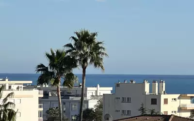 Cannes (06150)