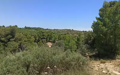 Grèce