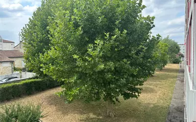 Bordeaux (33000)
