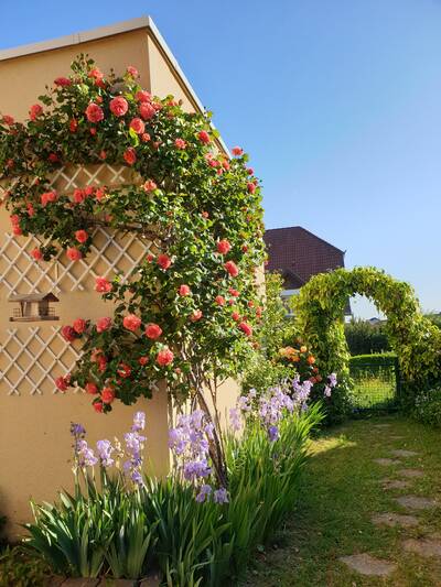 Vente appartement 4 pièces Annecy (74000)