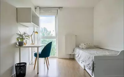 Lille (59000)