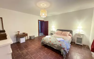 Gaillac (81600)