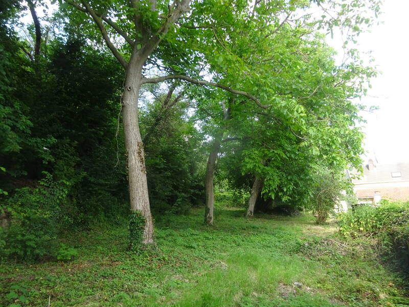 Saint-Maximin (60740)