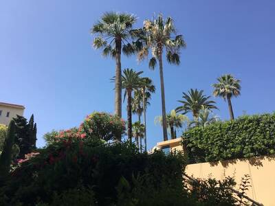 Location appartement 3 pièces Cannes (06)