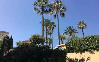 Cannes (06150)